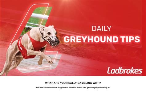 ladbrokes greyhound derby betting